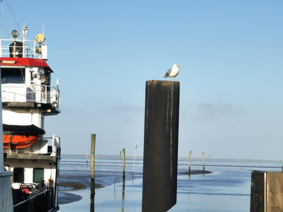 Schicke Ferienwohnung Julia An Der Nordsee Lutetsburg Kültér fotó